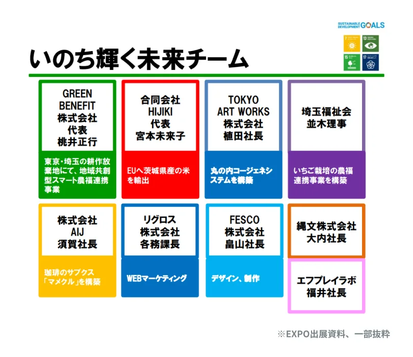 いのち輝く未来チームの資料一部抜粋画像